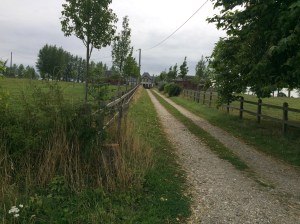 825 fazenda fundo do caminho - 1