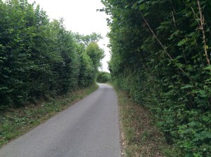 901 estrada tranquila - 1